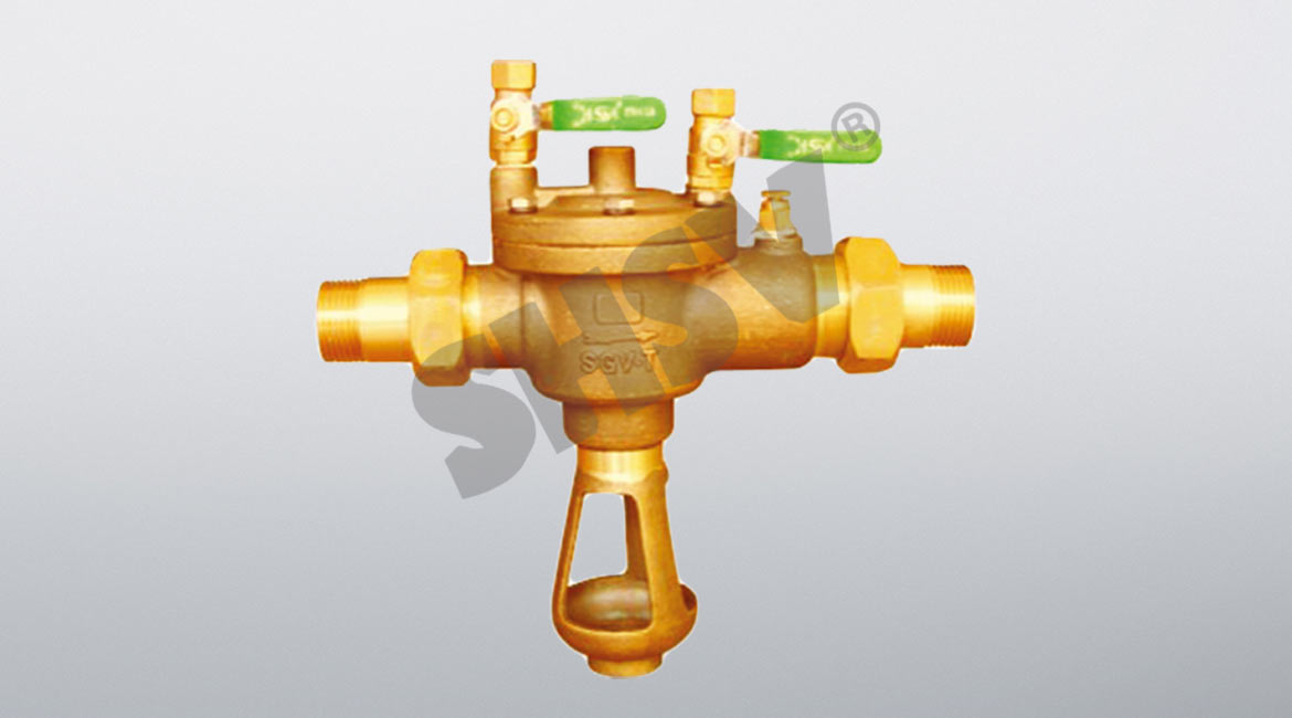 �z�ڵ�����ֹ��